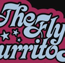 Picture of a band or musician: The Flying Burrito Brothers