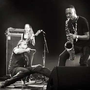 Picture of a musician: Melt Yourself Down