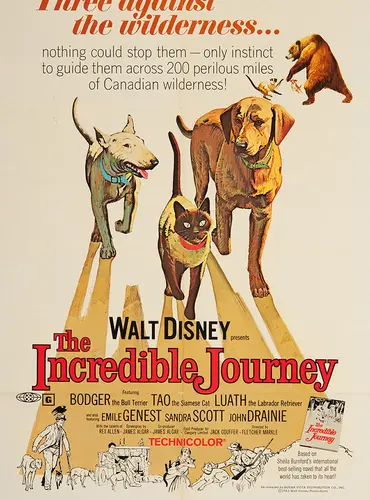 Picture of a movie: The Incredible Journey