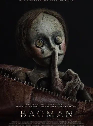 Picture of a movie: Bagman