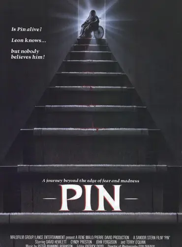 Picture of a movie: Pin