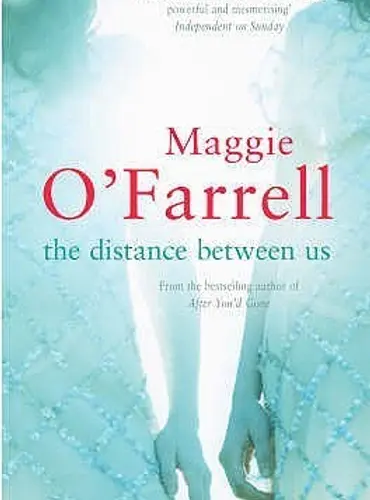 Picture of a book: The Distance Between Us