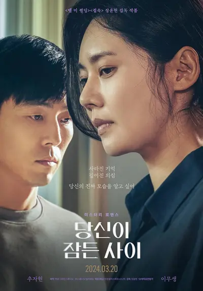 Picture of a movie: While You Were Sleeping