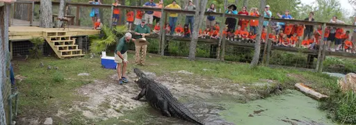 Image of Want to Go