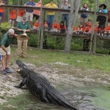 Picture of a place: Alligator Alley
