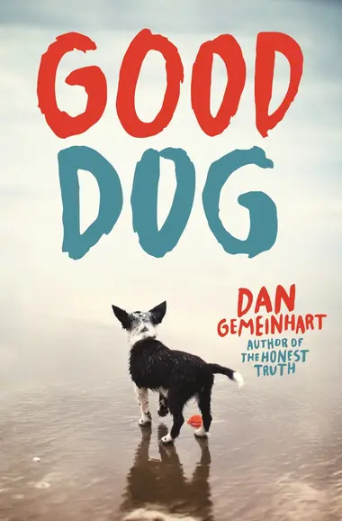 Image of Good dog
