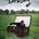 Picture of a movie: Oldboy