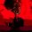 Picture of a movie: Parasite