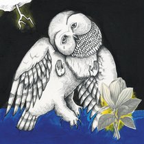 Picture of a band or musician: Songs: Ohia