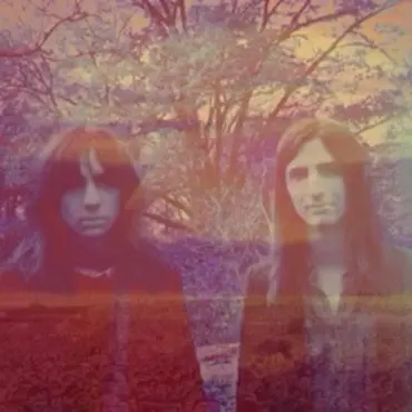 Picture of a musician: The Lemon Twigs