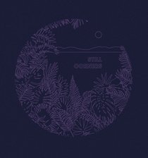 Picture of a band or musician: Still Corners