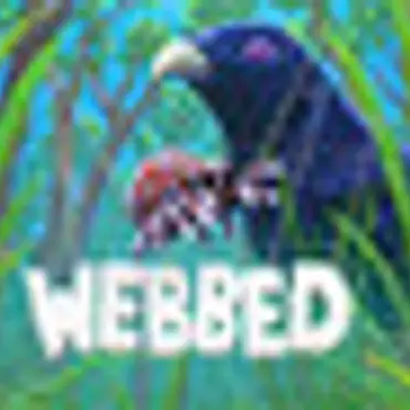 Picture of a game: Webbed