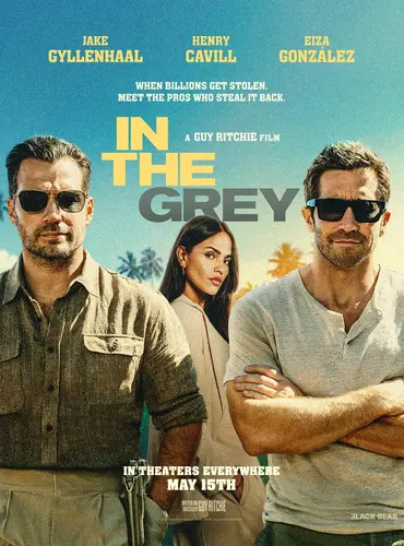 Picture of a movie: In the Grey