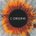Picture of a movie: I Origins