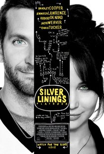 Picture of a movie: Silver Linings Playbook