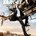 Picture of a TV show: Human Target