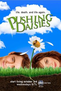 Picture of a TV show: Pushing Daisies