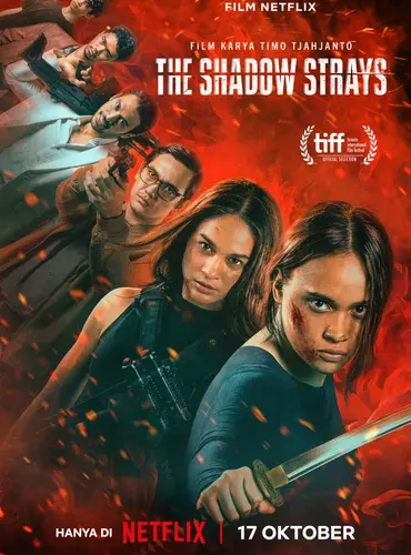 Picture of a movie: The Shadow Strays