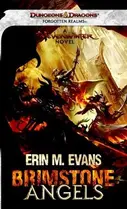 Image of erin m evans