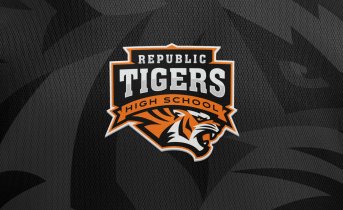 Picture of a band or musician: The Republic Tigers