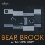 Image of Journalistic Investigative True Crime Long Form Podcasts