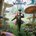 Picture of a movie: Alice In Wonderland