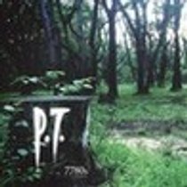 Picture of a game: P.T.