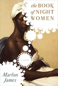 Image of Caribbean Fiction
