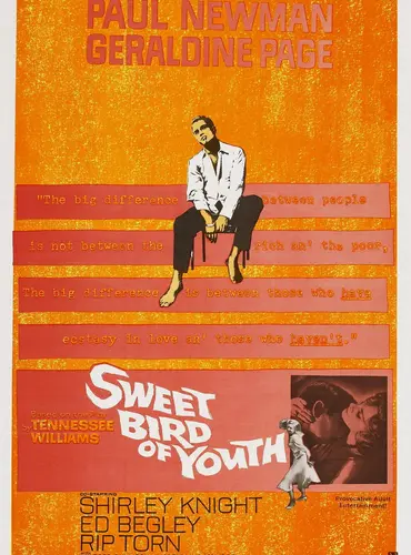 Picture of a movie: Sweet Bird of Youth
