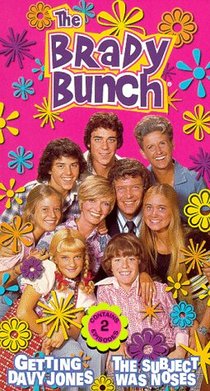 Picture of a TV show: The Brady Bunch