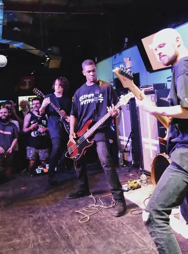 Picture of a musician: Vein