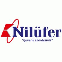 Picture of a band or musician: Nilüfer