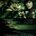 Picture of a movie: A Perfect Getaway