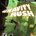 Picture of a game: Gravity Rush