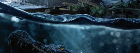 Image of Crawl