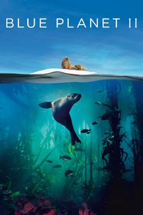 Picture of a TV show: Blue Planet II