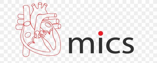 Picture of a band or musician: Circulatory System