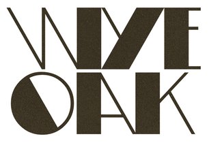 Picture of a band or musician: Wye Oak