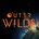 Picture of a game: Outer Wilds