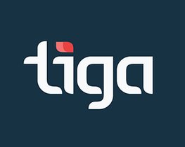 Picture of a band or musician: Tiga