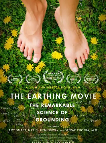 Picture of a movie: The Earthing Movie