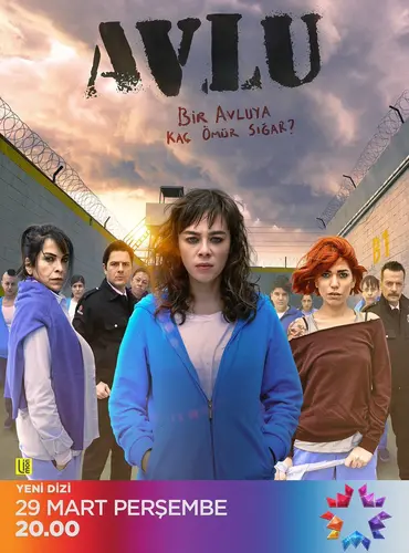 Picture of a TV show: The Yard
