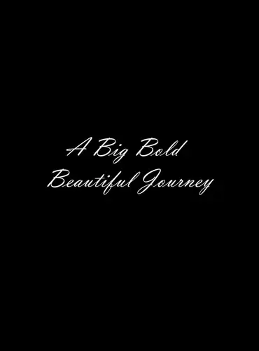 Picture of a movie: A Big Bold Beautiful Journey