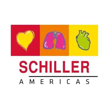 Picture of a musician: Schiller