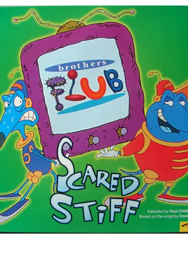 Picture of a TV show: The Brothers Flub