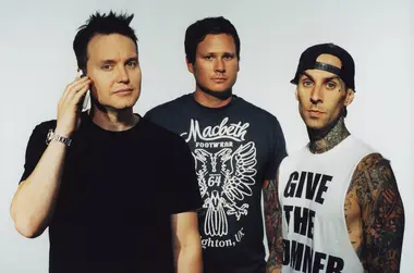 Image of Nostalgia Bands