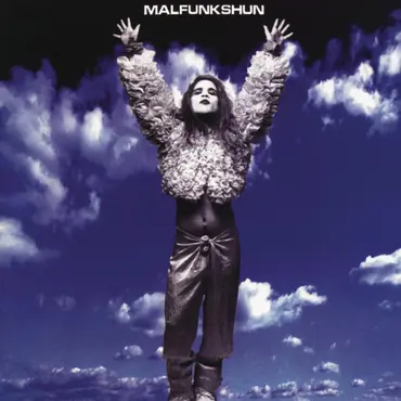 Picture of a musician: Malfunkshun