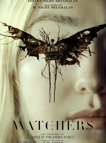 Picture of a movie: The Watchers