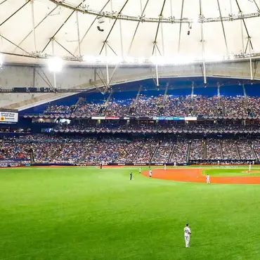 Picture of a place: Tropicana Field